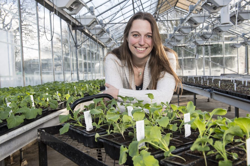 Dr Rachel Wells | John Innes Centre