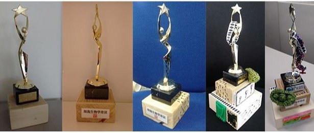 Check out the evolution of the trophy over the past 16 months…