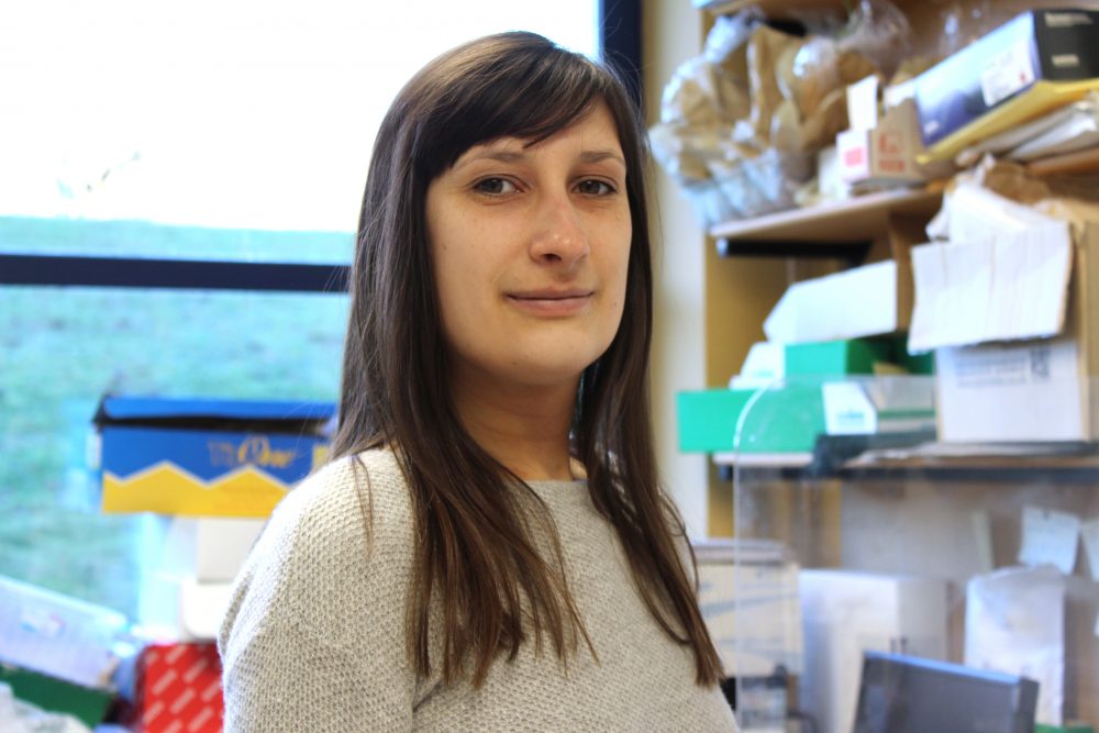 Rachel Burns | John Innes Centre