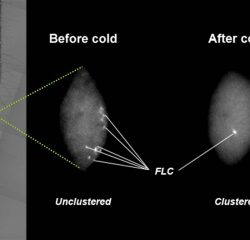 Before and after cold FLC clustering