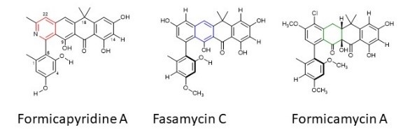 Fasamycin chemistry