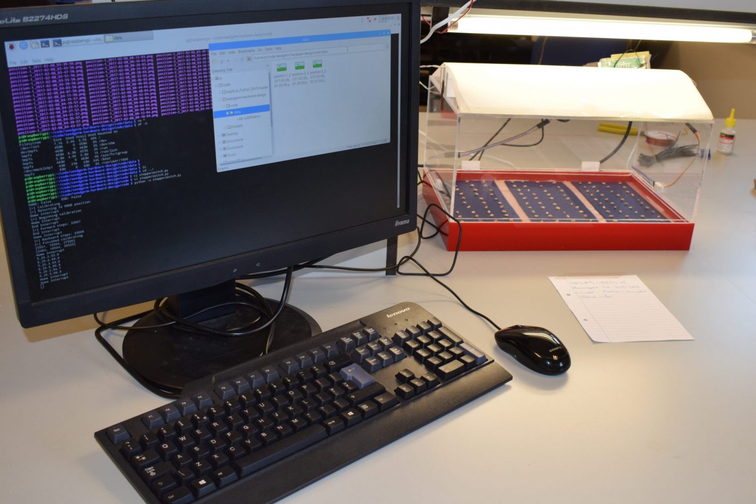 AI works out the problem of seed germination tests