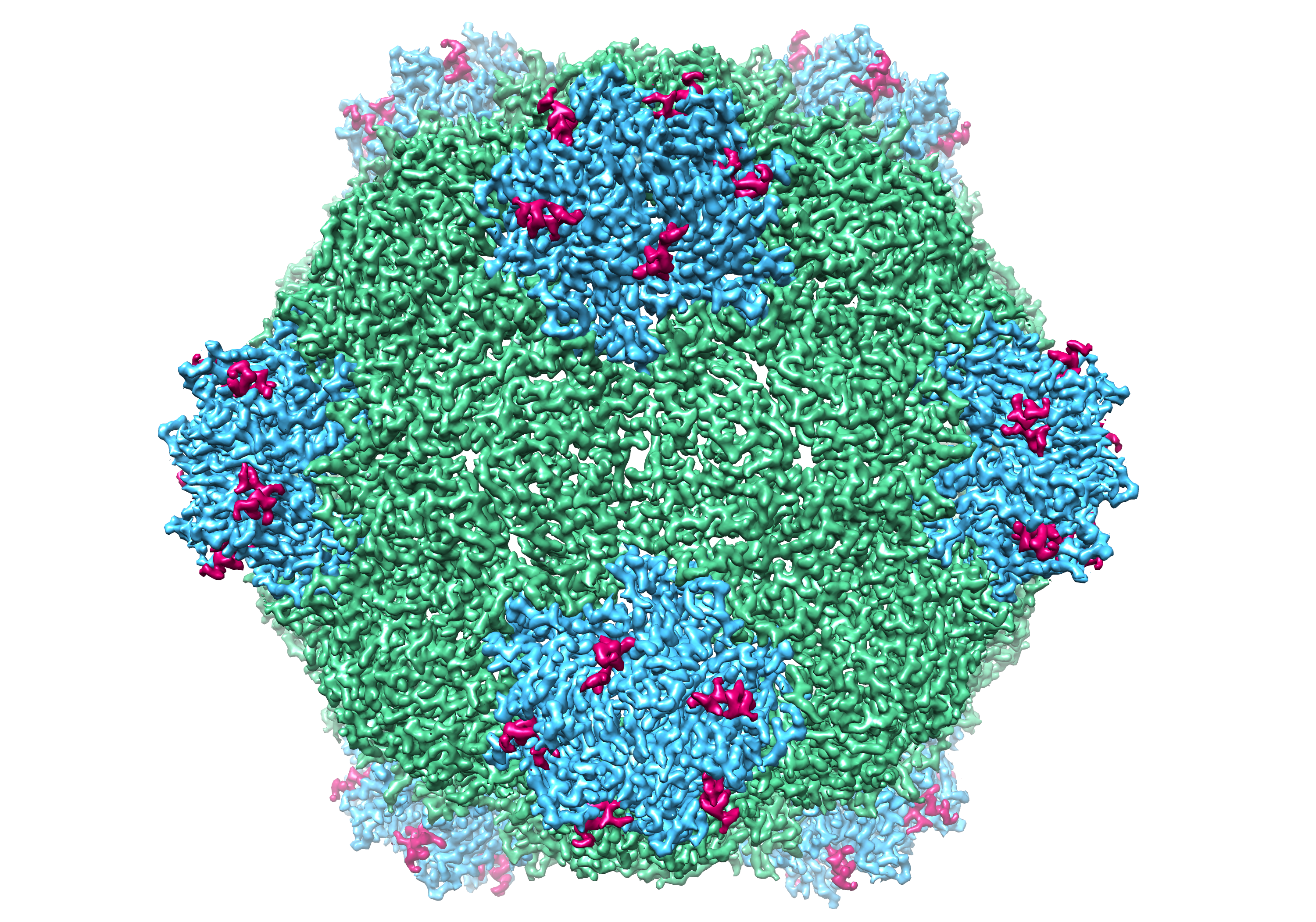 Like virus. HPV Electron microscopy. Virus-like Particle картинка. Planting viruses.