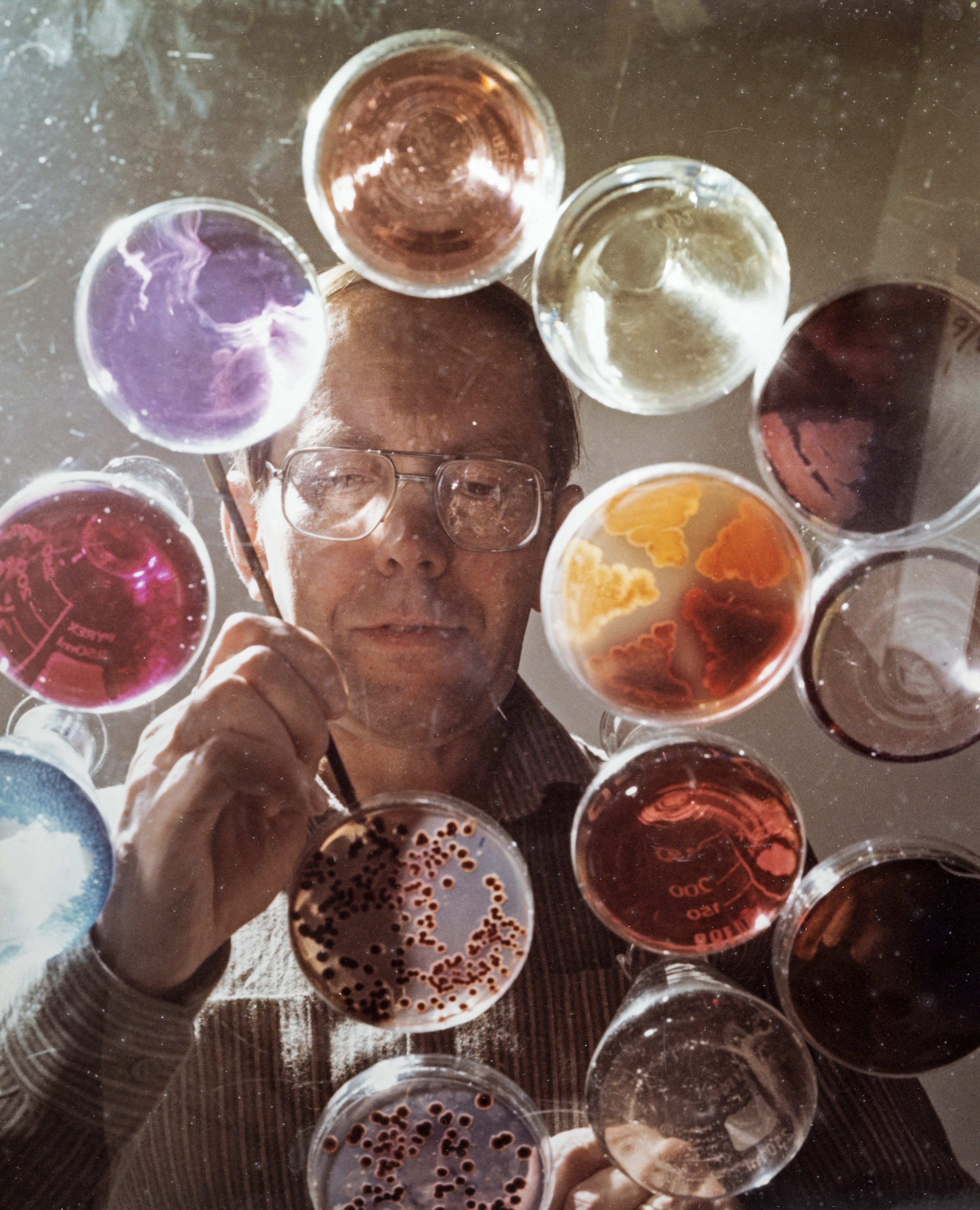 Looking up through colourful petri dishes at a man's face holding a stick