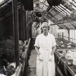 A black and white photo of a woman standing in a greenhouse of ferns