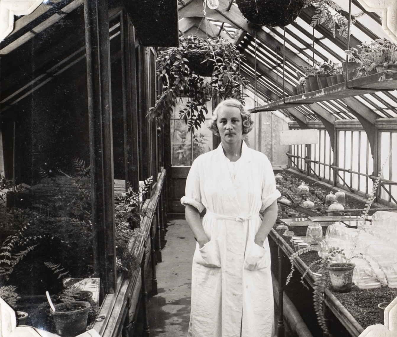 A black and white photo of a woman standing in a greenhouse of ferns