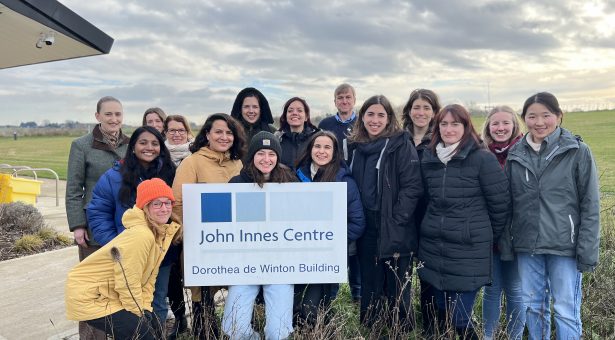 Women in Wheat Training