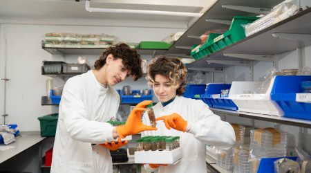 Lewis and Amelia in the lab