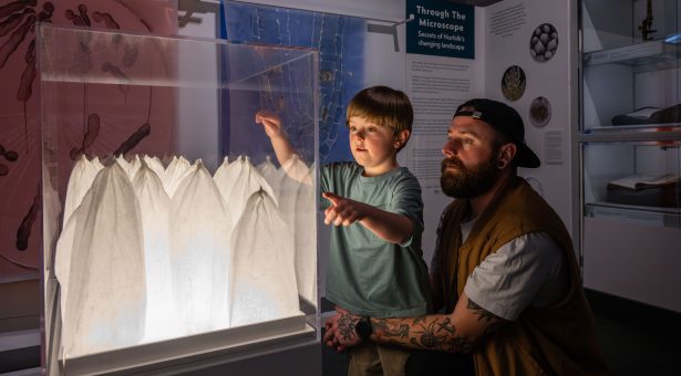 Gressenhall Through the Microscope exhibition