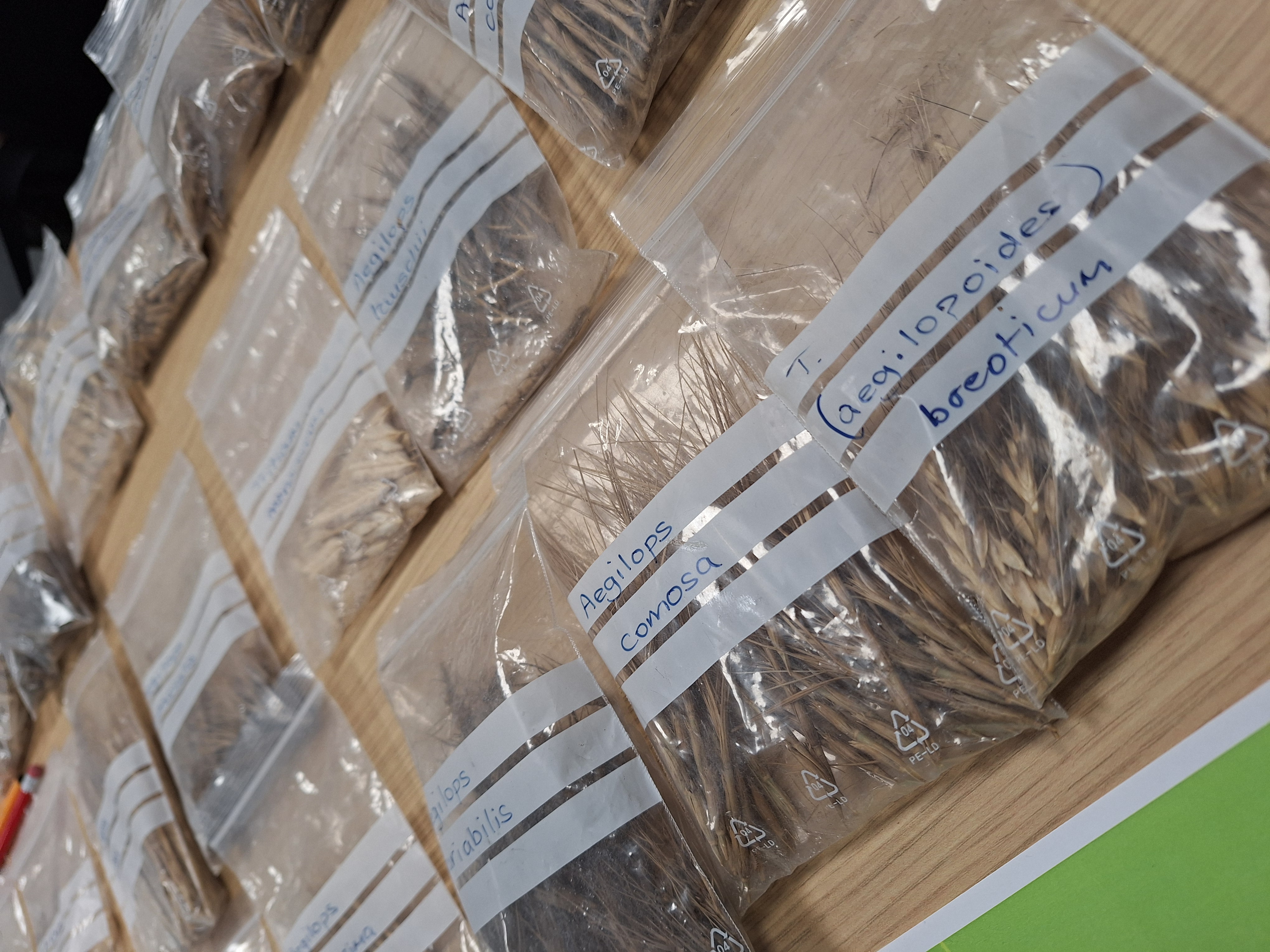 Sue Steele, science administrator at Rothamsted Research, and Roger Berwick, science support administrator at the John Innes Centre, organisers of the event, ready to welcome DSW members.