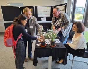 The Wheat transformation and gene editing team from the John Innes Centre, and the Crop Transformation and Genome Editing Unit from Rothamsted Research, worked together to create a science showcase about genome editing in wheat.