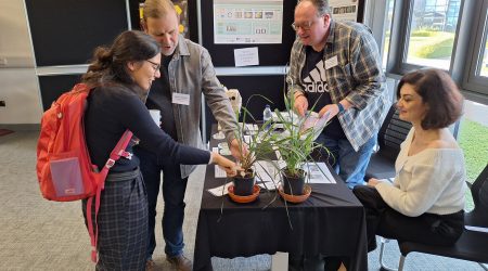 The Wheat transformation and gene editing team from the John Innes Centre, and the Crop Transformation and Genome Editing Unit from Rothamsted Research, worked together to create a science showcase about genome editing in wheat. 