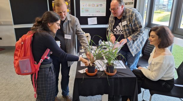 The Wheat transformation and gene editing team from the John Innes Centre, and the Crop Transformation and Genome Editing Unit from Rothamsted Research, worked together to create a science showcase about genome editing in wheat. 